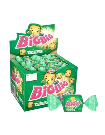 CHICLE BIGBIG 315G HORTELA